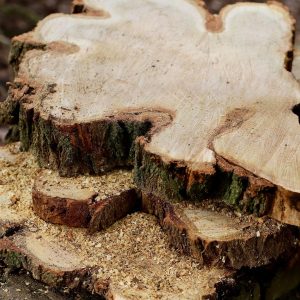 果汁导航版权对接温禾整理投诉邮件与下架记录的场景，文件夹与台账码放整齐，旁边一杯热茶，氛围安静严谨
